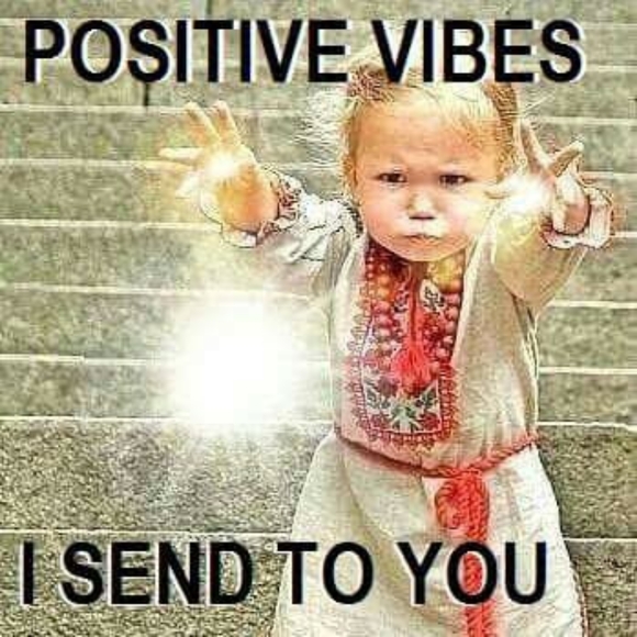 Meet your Posher, Steve - Picture 5 of 5